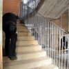 Bau3_k-DSCN7737
