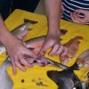 Fisch_5