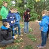 Waldjugendspiele_5