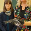 Fisch_03