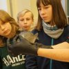 Fisch_04