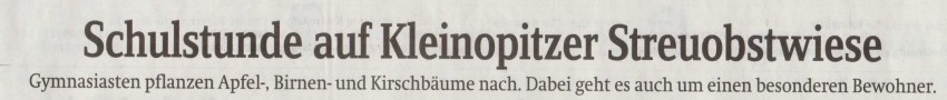 Schüler pflanzen Bäume