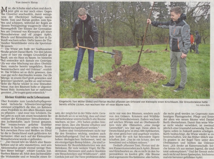Schüler pflanzen Bäume