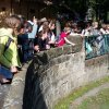 Zoo_04