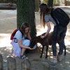 Zoo_09