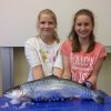 Fisch_01