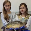 Fisch_02