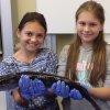 Fisch_04