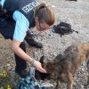 Polizei_4