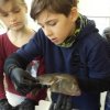 Fische_4