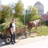 18_Oradea_09