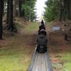 23_Tharandt_08