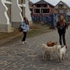 24_Oradea_23